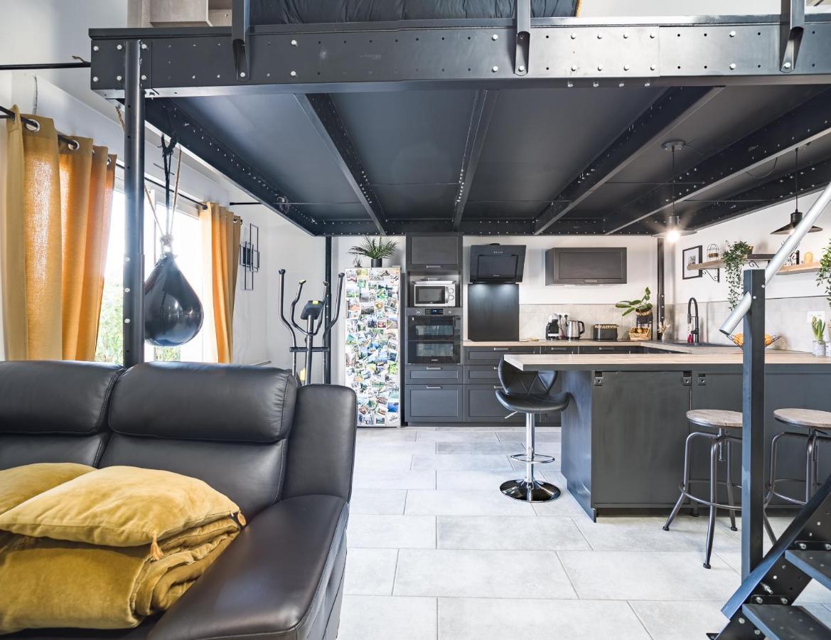 Apartmán Loft Avec Jardin Et Parking Prive Troyes Exteriér fotografie